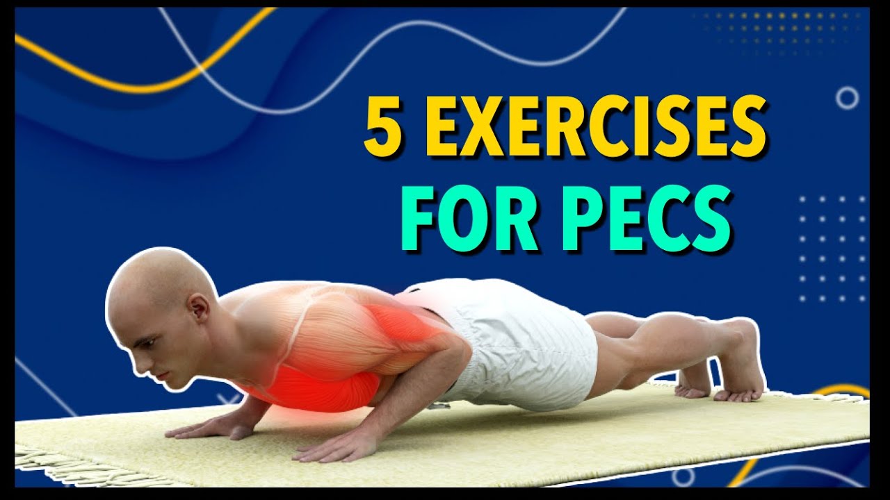 5 Exercises For Chiselled Chest Muscles With Dumbbells and Bodyweight