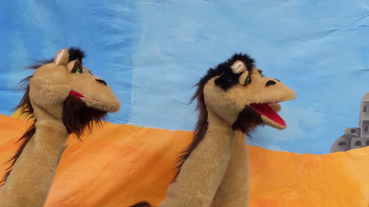 We Three Camels