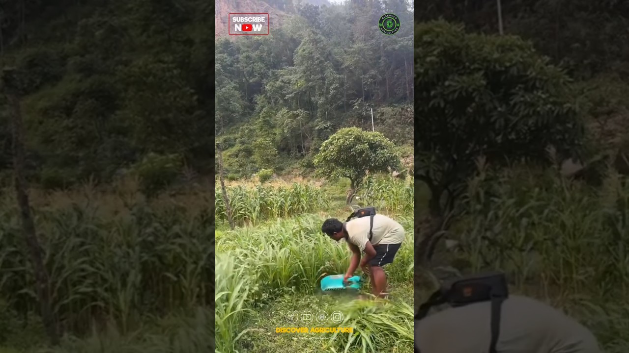 Amazing Grass Harvesting Machine