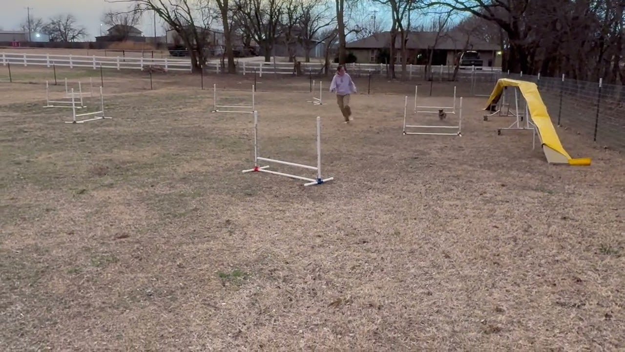 Daisy Elite Jumpers Heart Round 1 Feb 17 2026