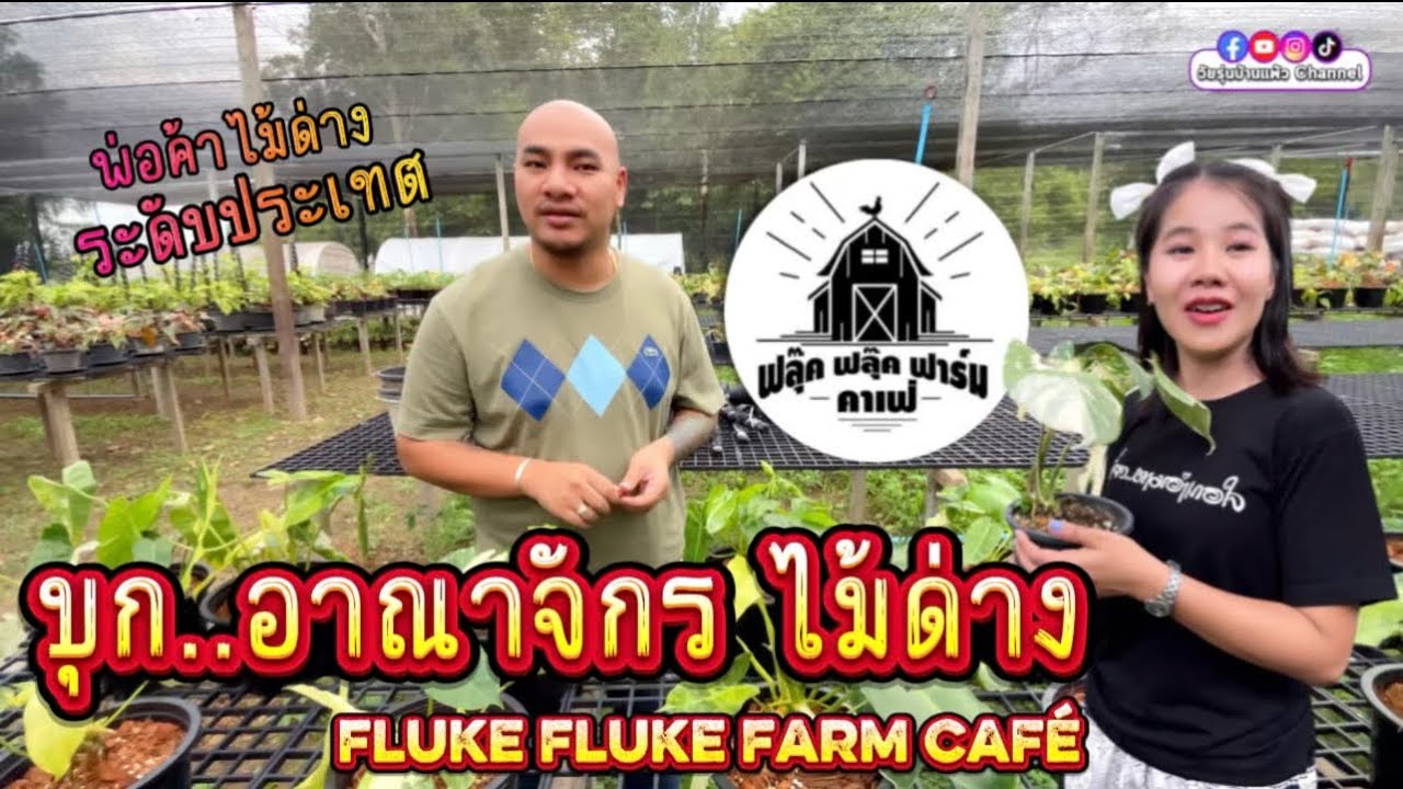 พาชม อาณาจักรไม้ด่าง FLUKE FLUKE FARM CAFE