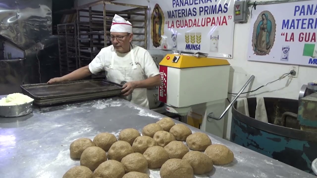 EXPERIMENTO PAN INTEGRAL MEXICANO