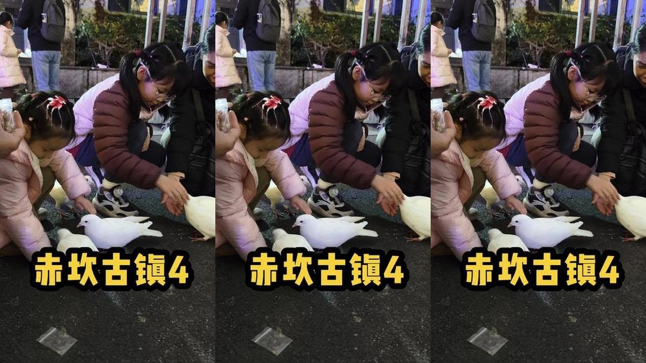 旺家这种很容易满足的孩子，去哪都能玩得很开心。而没有午睡的小二要开始狂躁了。#小型生物 #二胎 #旅行 #内容启发搜索 #随时随地标记一下