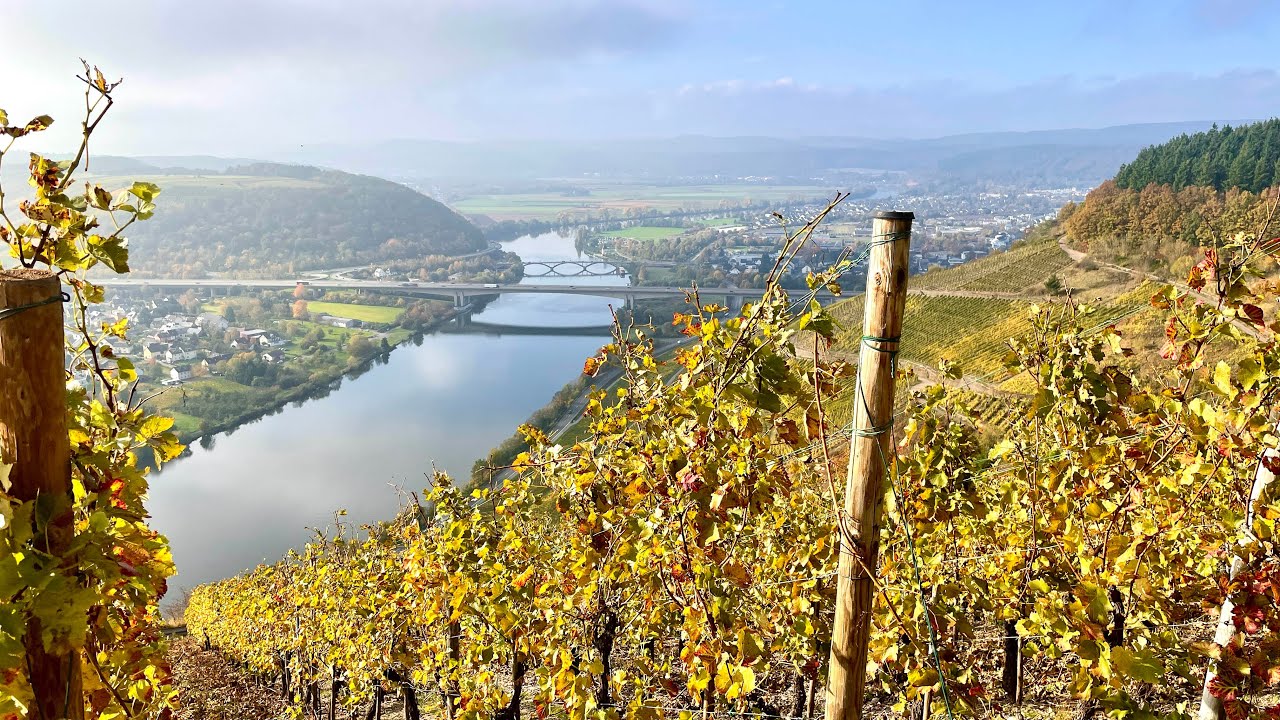 Wandelen langs de Moezel - Moselsteig etappe 6 - Schweich-Mehring