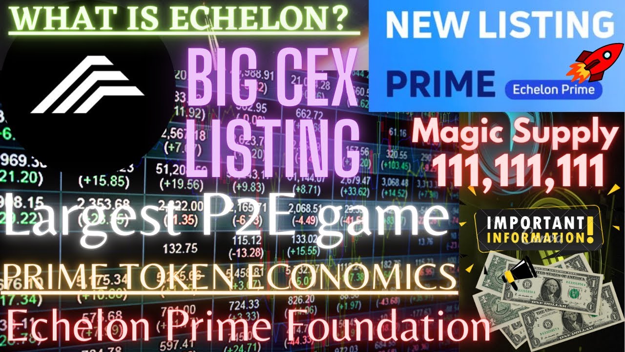 What is Echelon? |🔥Big CEX listing Coming | $Prime Token | Limited Supply |  How to buy? Hindi Guide