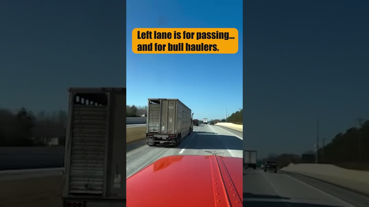 Meet the Truckers Who IGNORE The Rules! 🤫
