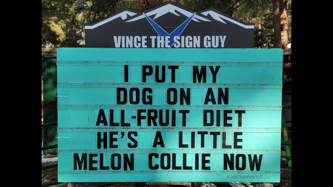CATS & DOGS
