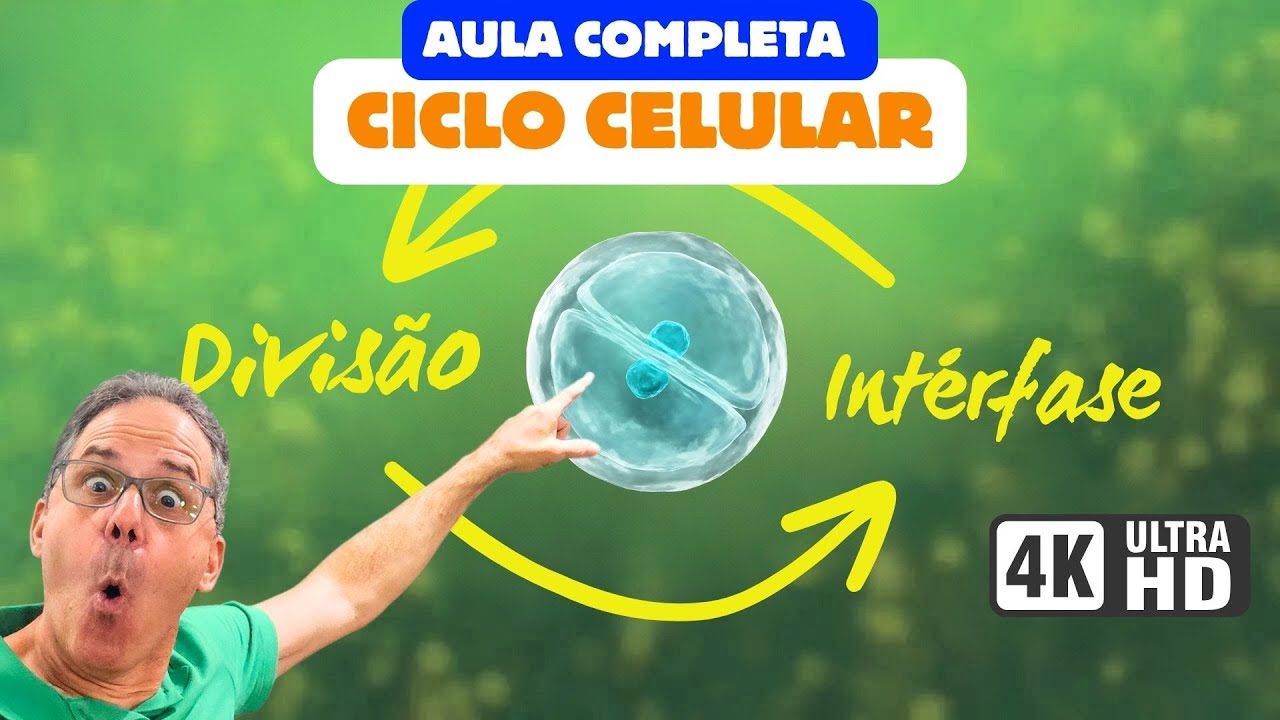 CICLO CELULAR: INT&Eacute;RFASE E DIVIS&Atilde;O - AULA COMPLETA | Ci&ecirc;ncia Traduzida com Professor Hilton