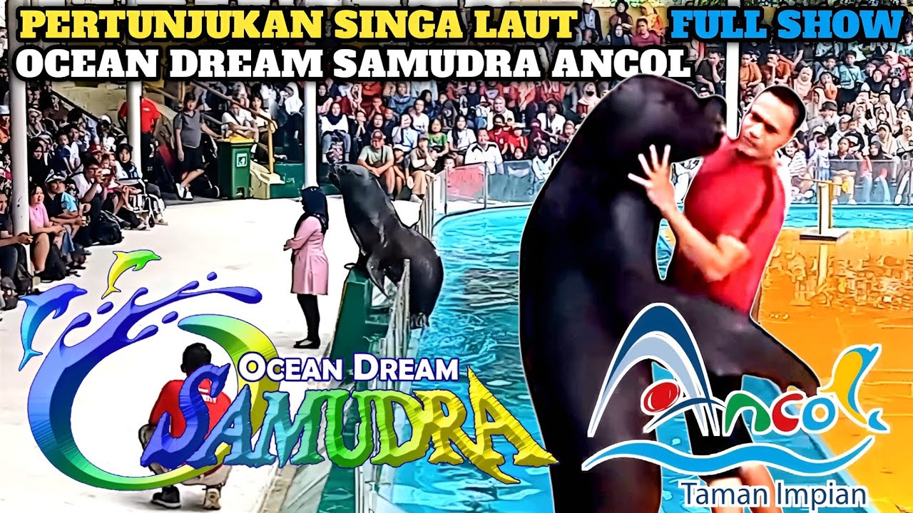 PERTUNJUKAN SINGA LAUT OCEAN DREAM SAMUDRA ANCOL || FULL SHOW