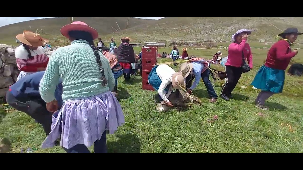 CARNAVAL 🎷 🥁 🐑 🐏 🎷 EN EL PARAJE DE TUCLE  2024