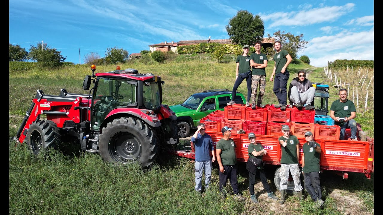 Tenuta Genevrina - Vendemmia 2024