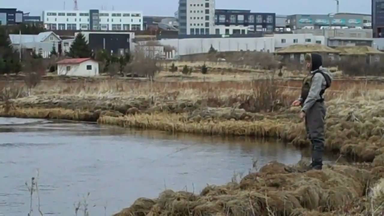 Elliðaá  2. maí 2010 5. dagur í veiði