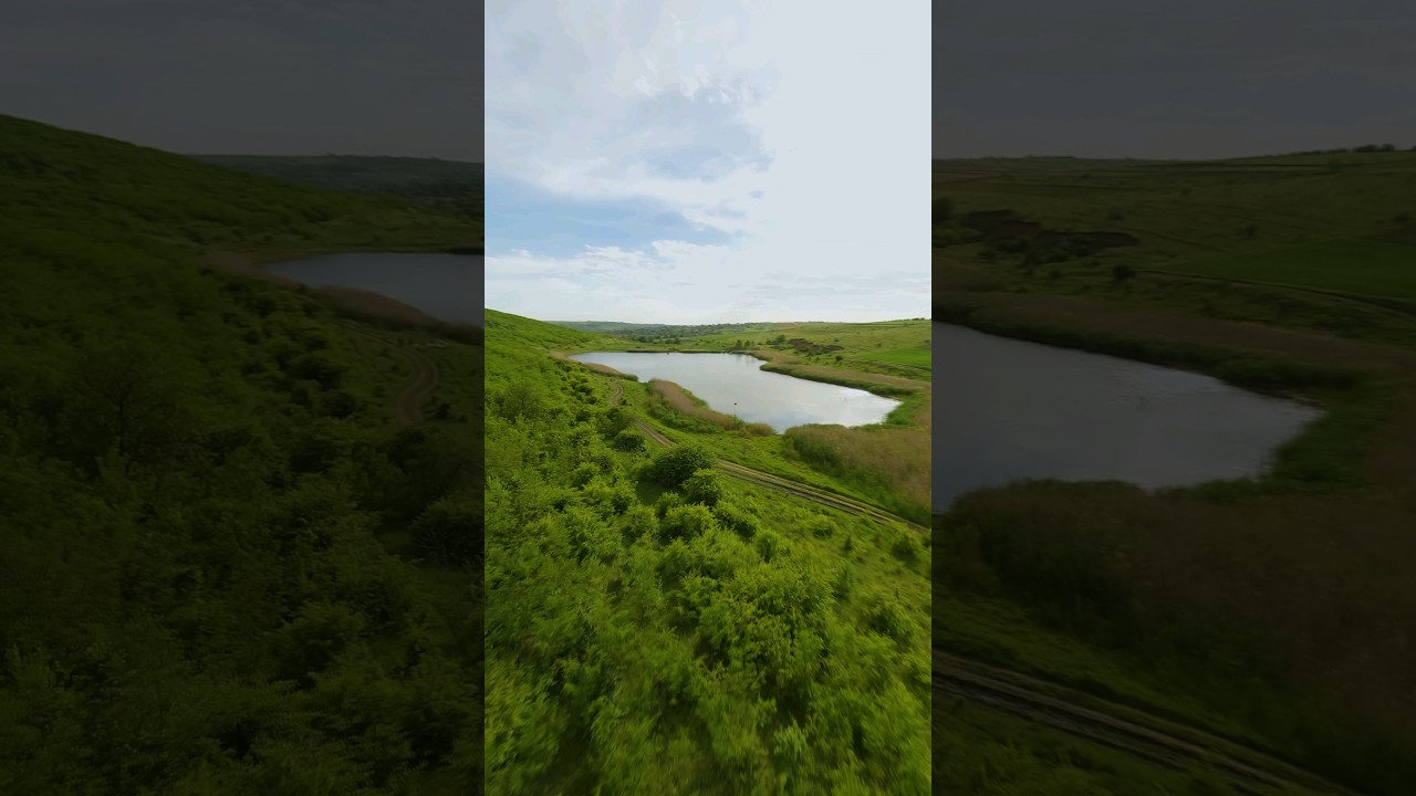 Гербовецкий лес 
