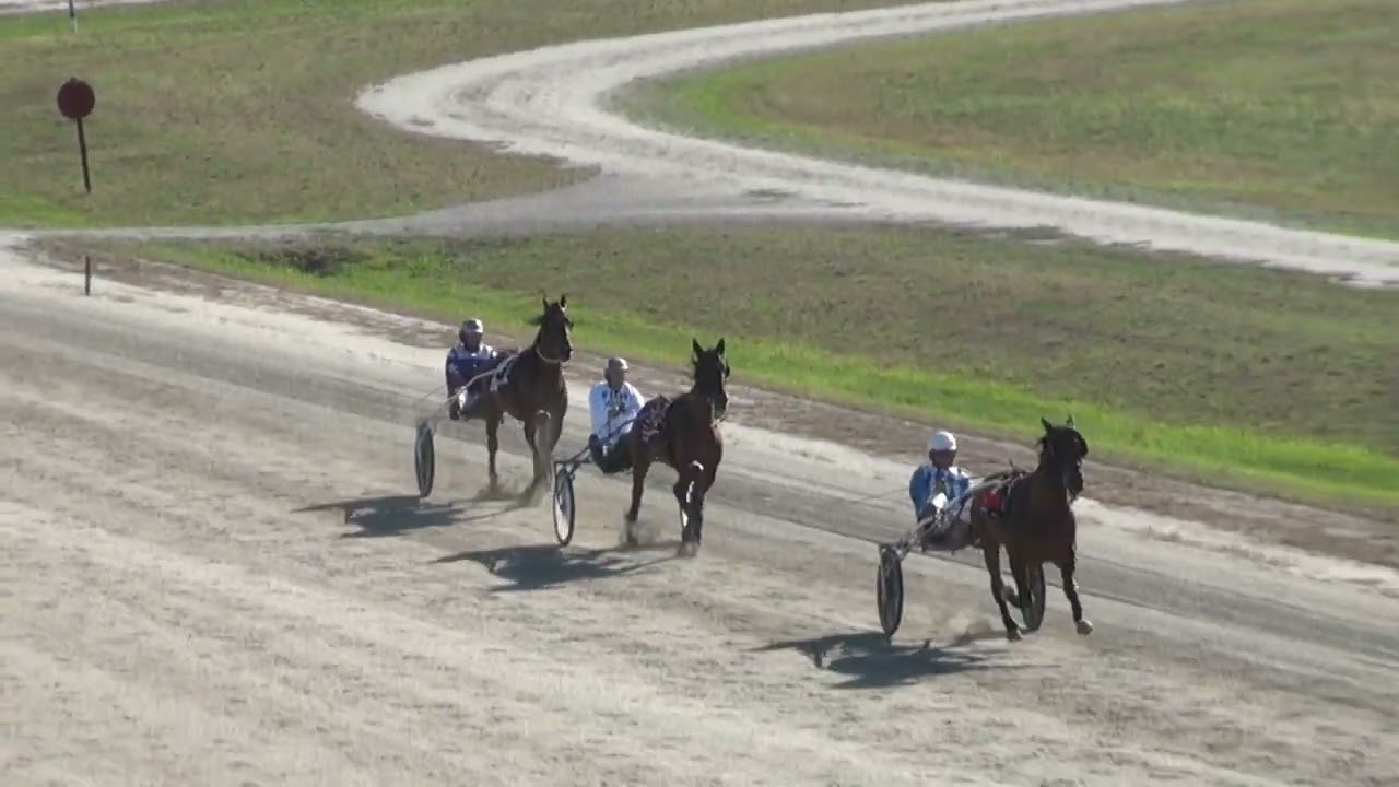Maryborough T3 8.3.26