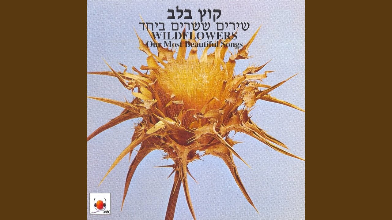 היו לילות