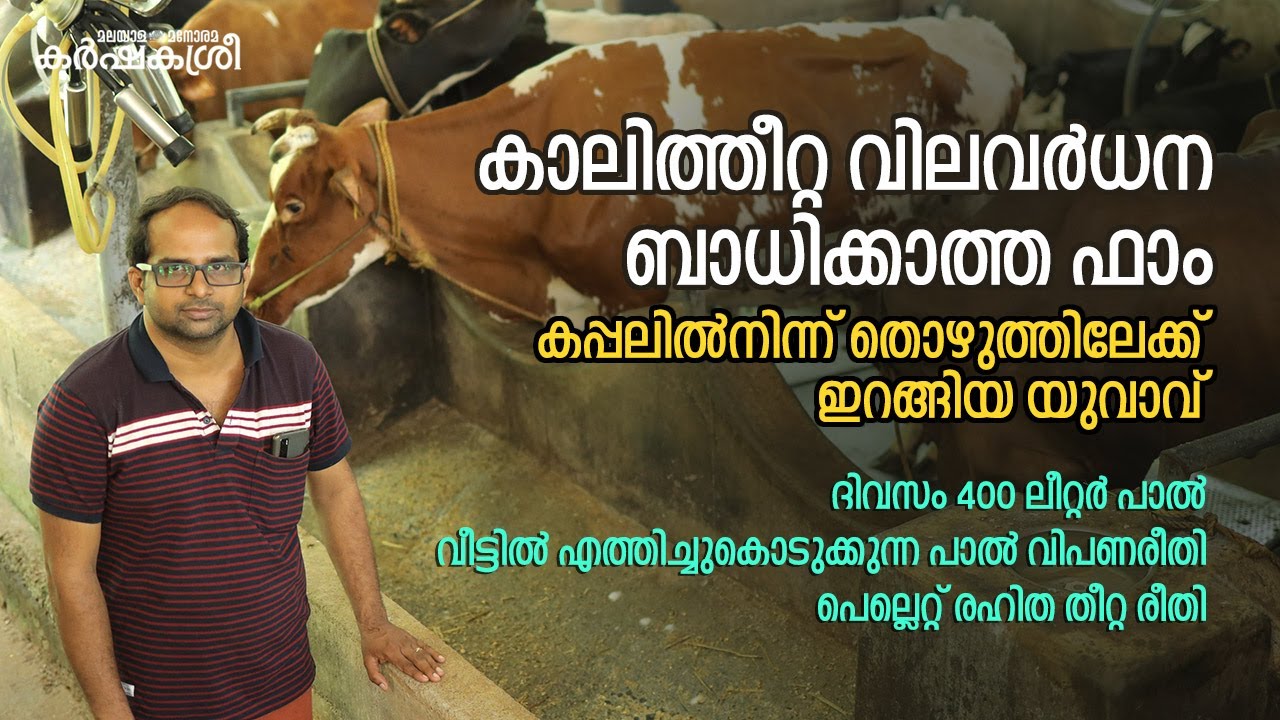 കാലിത്തീറ്റ വിലവർധന ബാധിക്കാത്ത ഫാം | Dairy Farming | Cattle | Milk | Karshakasree
