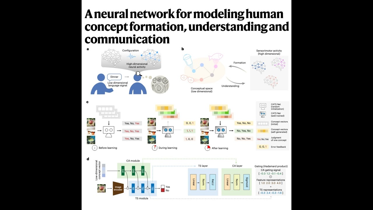 597-模拟人类概念形成与理解的双模块神经网络模型