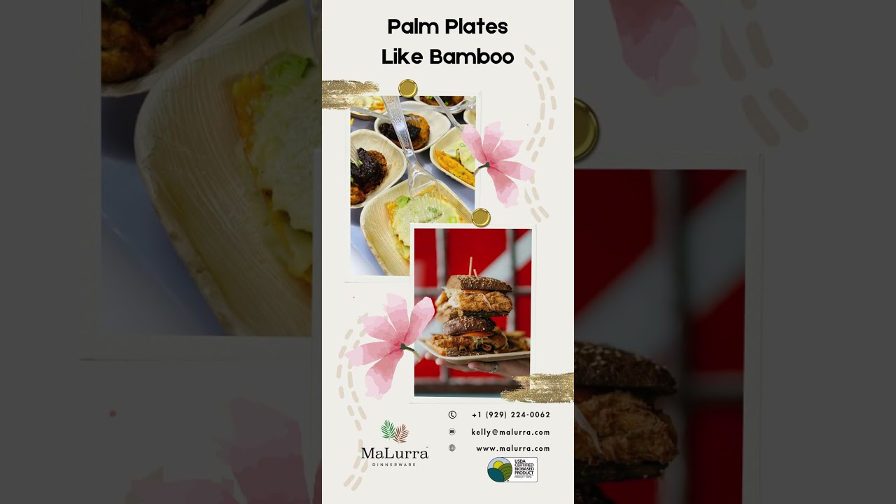 Palm Leaf Plates Like Bamboo: The Eco-Friendly Revolution in Tableware!