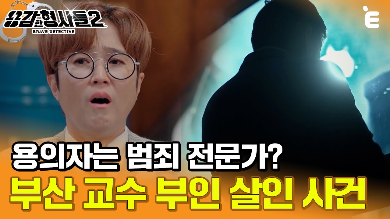 [#용감한형사들2] 범죄 전문가인 용의자와의 숨 막히는 두뇌 싸움, 부산 교수 부인 살인 사건 ㅣ 요약본