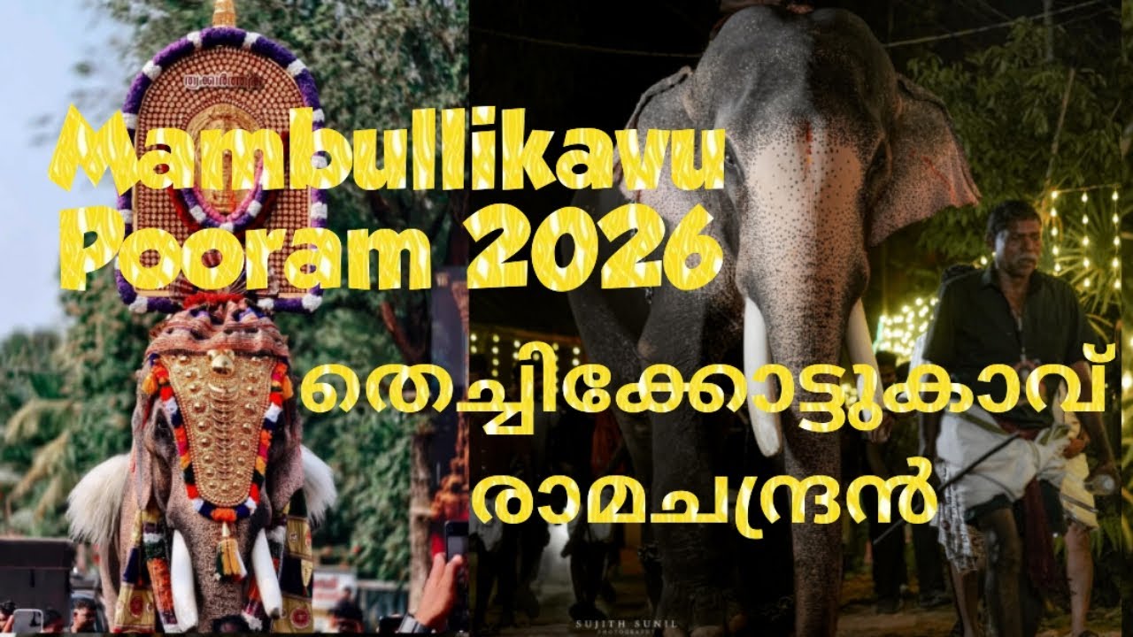 തെച്ചിക്കോട്ടുകാവ് രാമചന്ദ്രൻ | Mambullikavu Pooram 2026