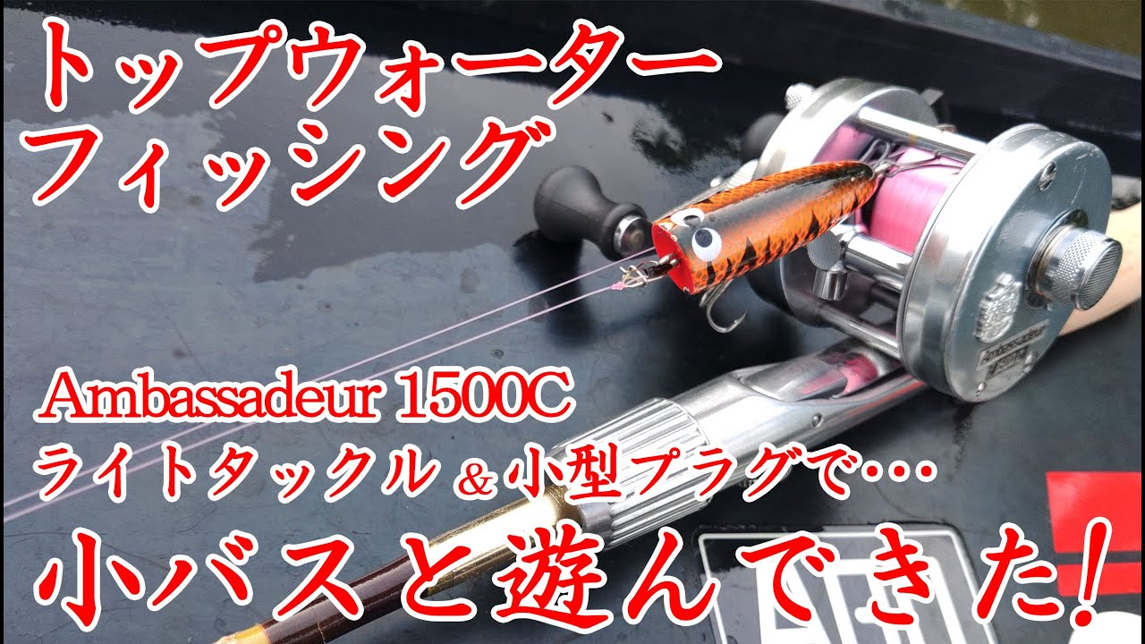 【バスフィッシング】トップウォーターで釣る小(子)バス！　アンバサダー1500Cは絶好調♪　