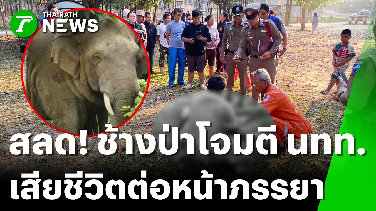 สลด! ช้างป่าทำร้ายนทท.เสียชีวิต | 2 ก.พ. 69 | ข่าวเย็นไทยรัฐ