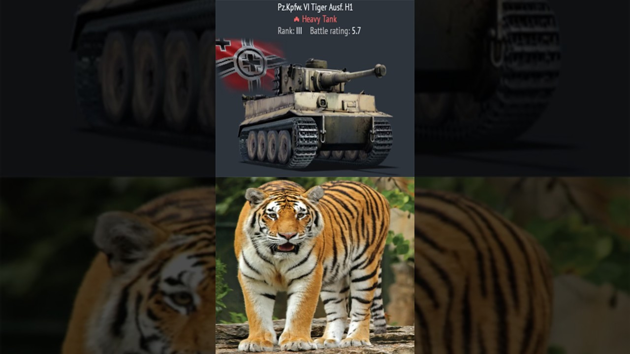 German Tanks BUT they are Animals #warthunder #shorts #memes #animals