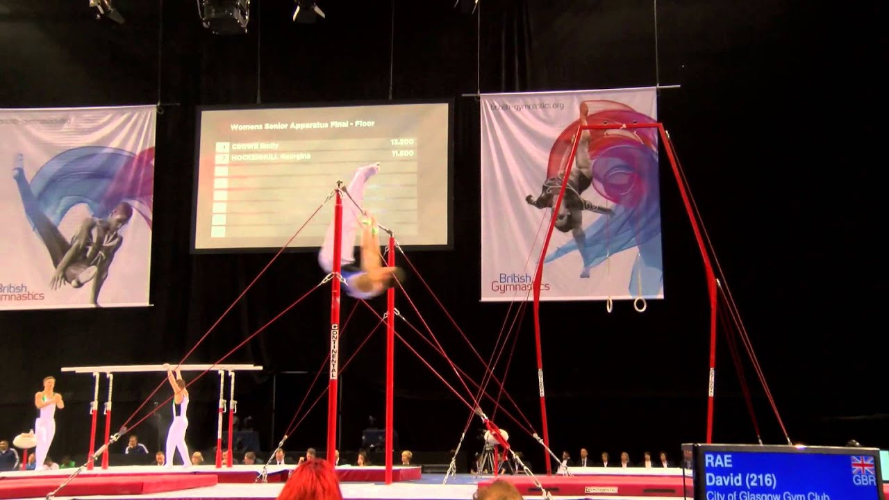 DAVID RAE HB DISABILITY GYMNASTICS 2014 BRITISH