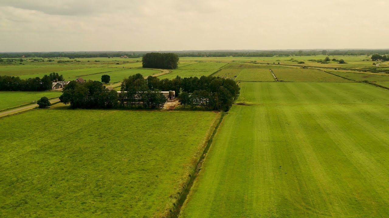 4K DRONE SHOTS | DE TJONGER / TJONGERVALLEI | NABIJ MILDAM gem. HEERENVEEN | 22-06-2021.