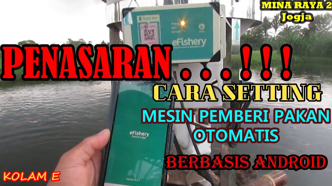 PENASARAN.... !!! CARA SETTING MESIN PEMBERI PAKAN OTOMATIS...(SMART FEEDER)