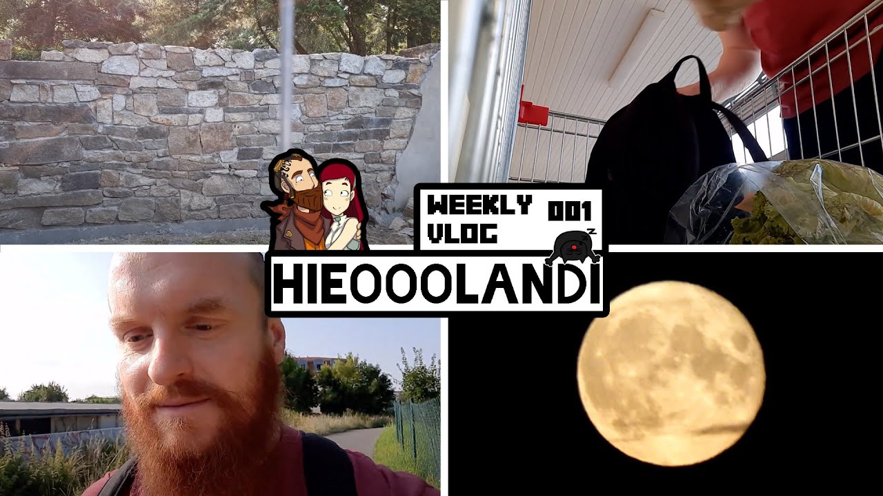 weekly VLOG ♦ #001 ♦ Der ganz normale Samstagswahnsinn