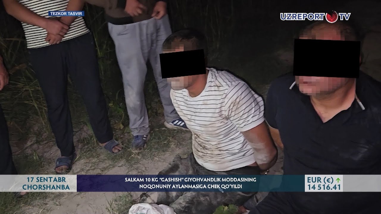 Salkam 10 kg “gashish” giyohvandlik moddasining noqonuniy aylanmasiga chek qo’yildi