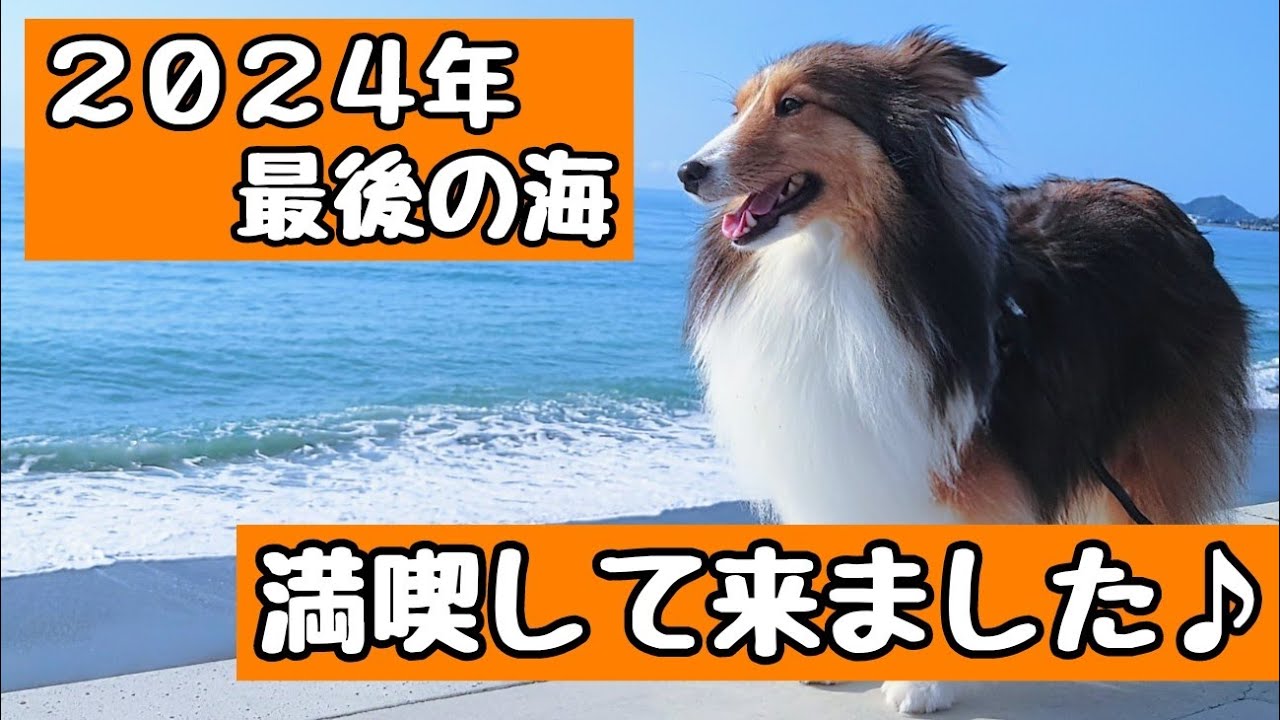 今年ラストの海！最高でした！！ Last visit to the sea this year