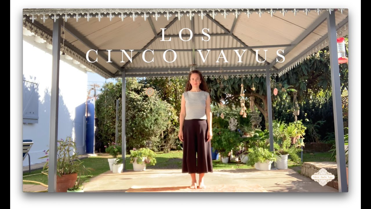 Los Cinco Vayus | Meditación con movimiento