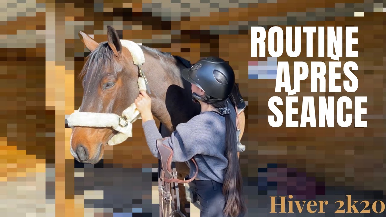 Routine après séance - Hiver 2k20