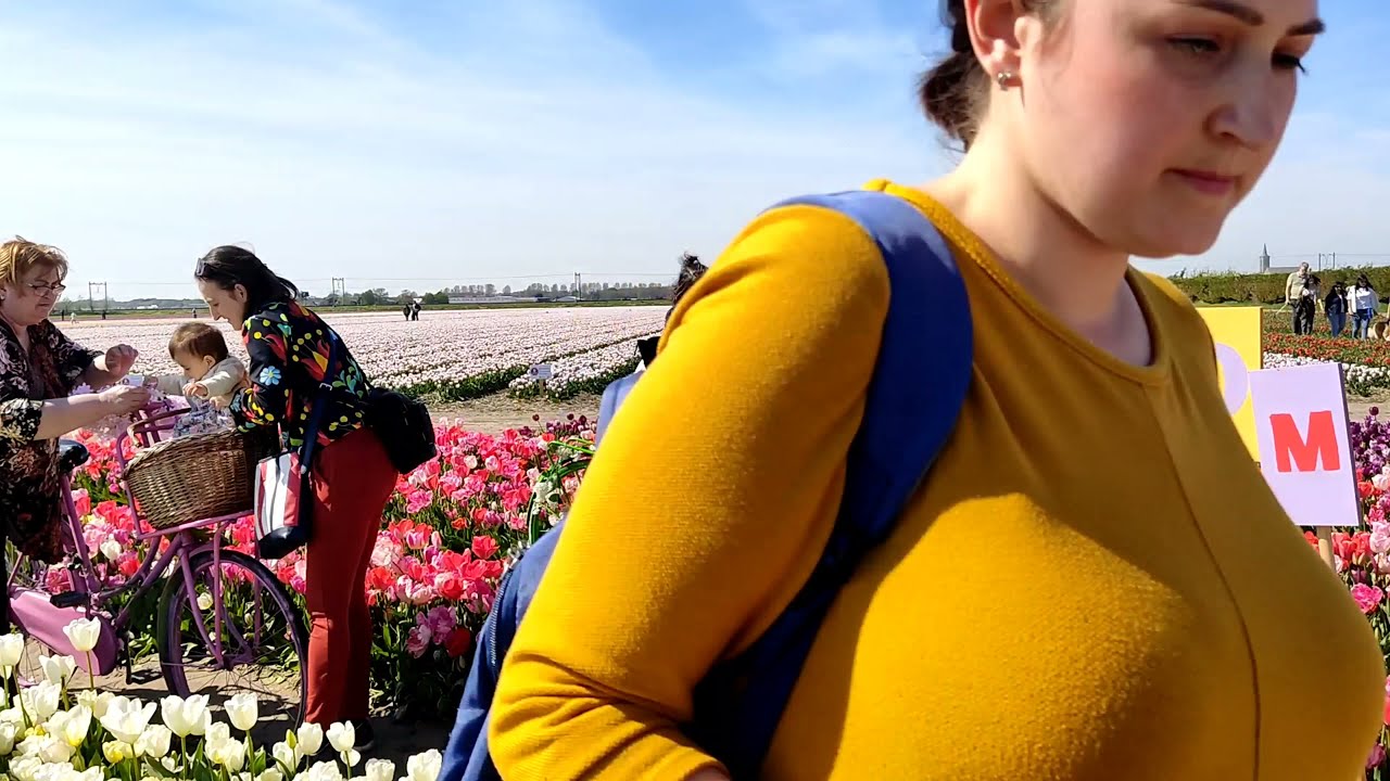 The Tulip Barn(Hillegom,Netherlands) Tulips fields Of Netherlands(Not in Keukenhof!)||4K Netherlands