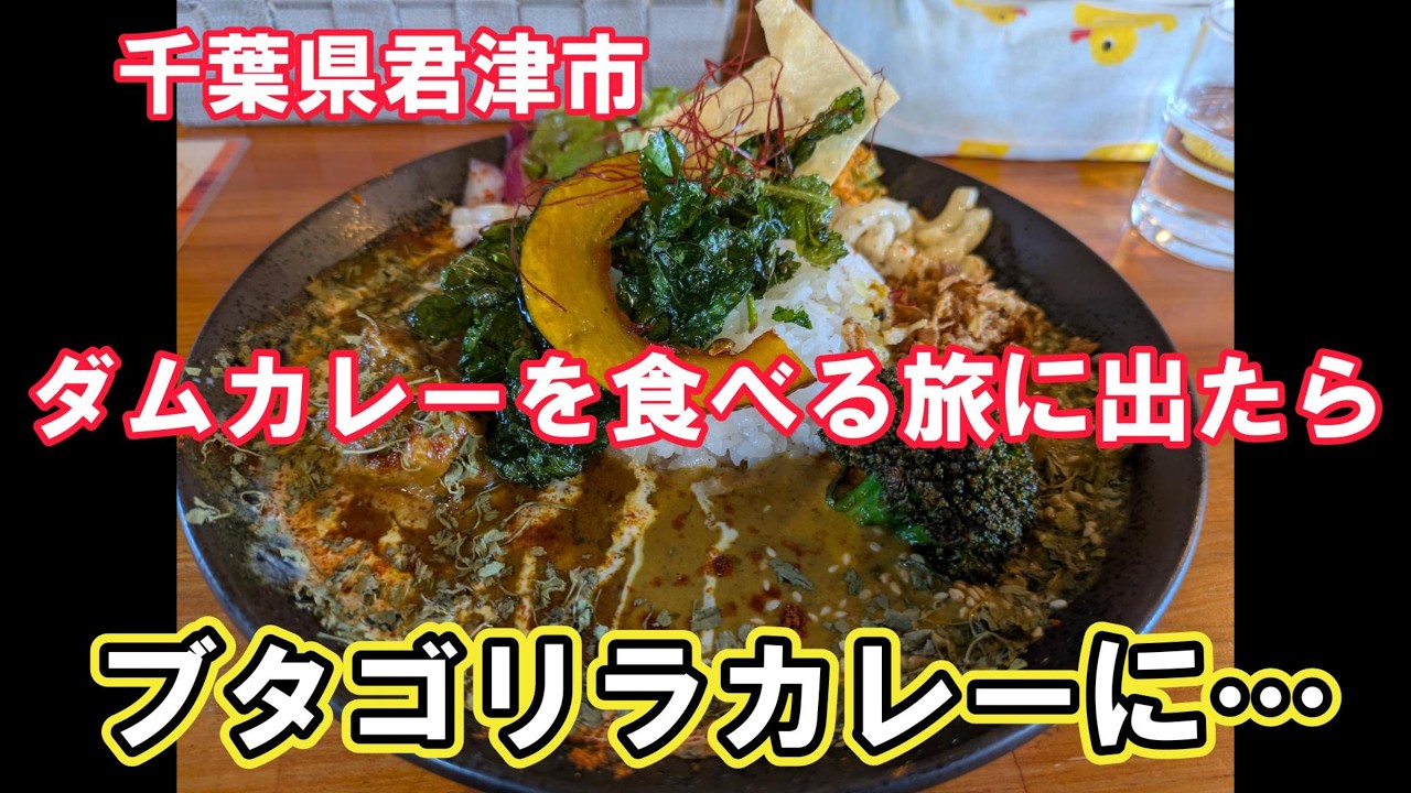 ダムカレーを食べに行ったらブタゴリラカレーになった？お話…【前編】最近の腹膜透析近況報告。　#お出かけ #南房総 #ランチ #人気店  #ロケ地 #亀山ダム #ボンヤスキーカレー