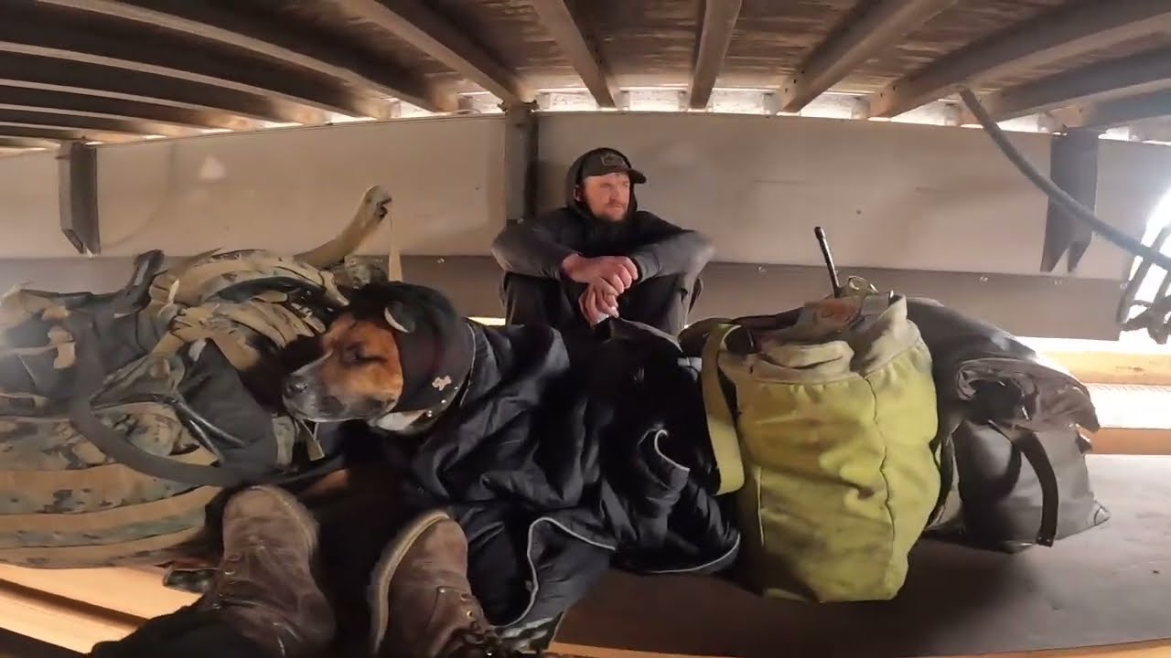 Shakey Pig On The Zmqla (Winter 2026)