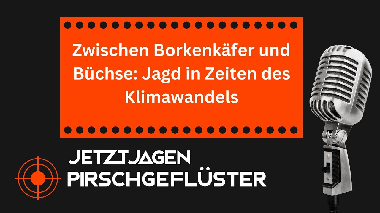 Zwischen Borkenkäfer und Büchse: Jagd in Zeiten des Klimawandels