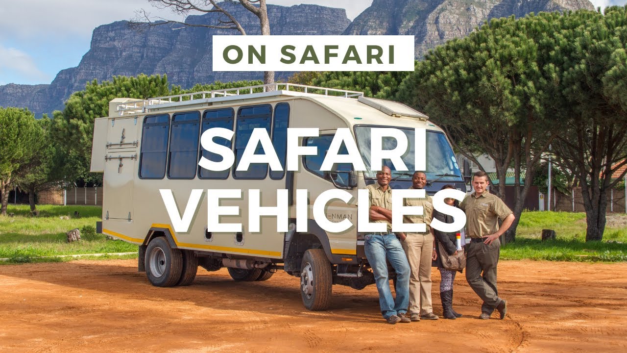 Cruiser 9 seater