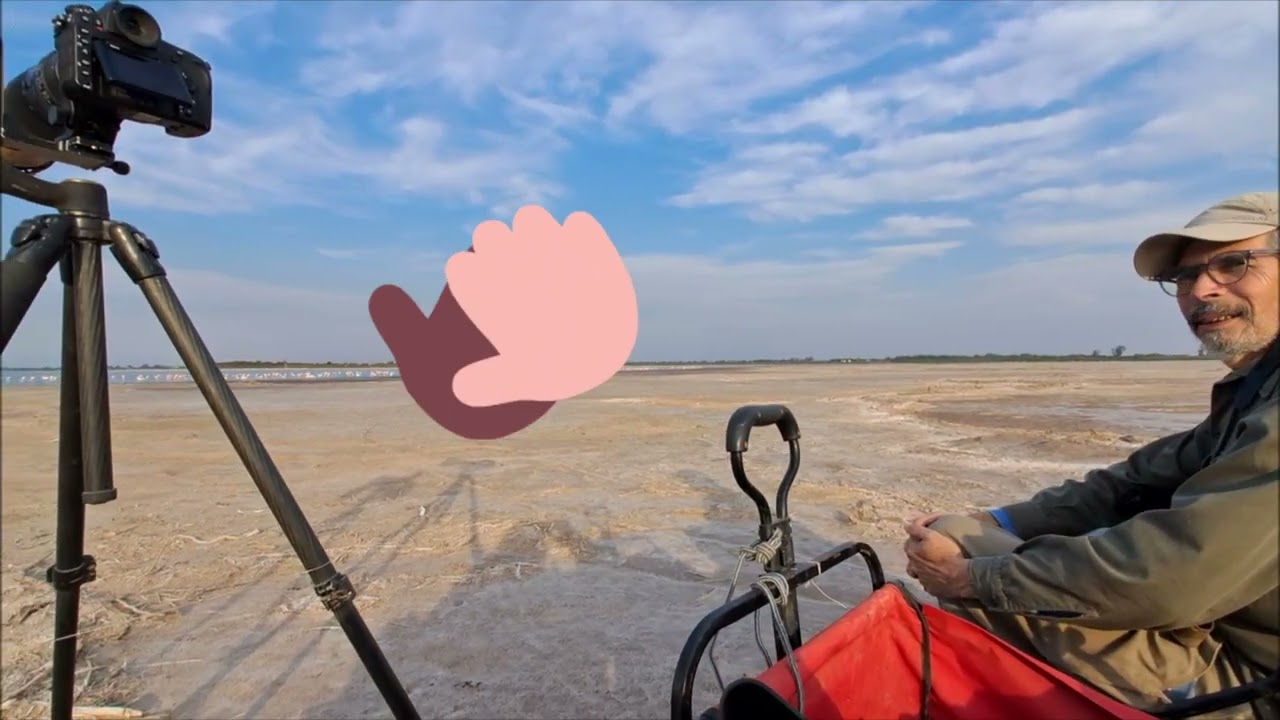 Imágenes de naturaleza para disfrutar. Región de Ansenuza Córdoba Argentina Flamencos y otras aves