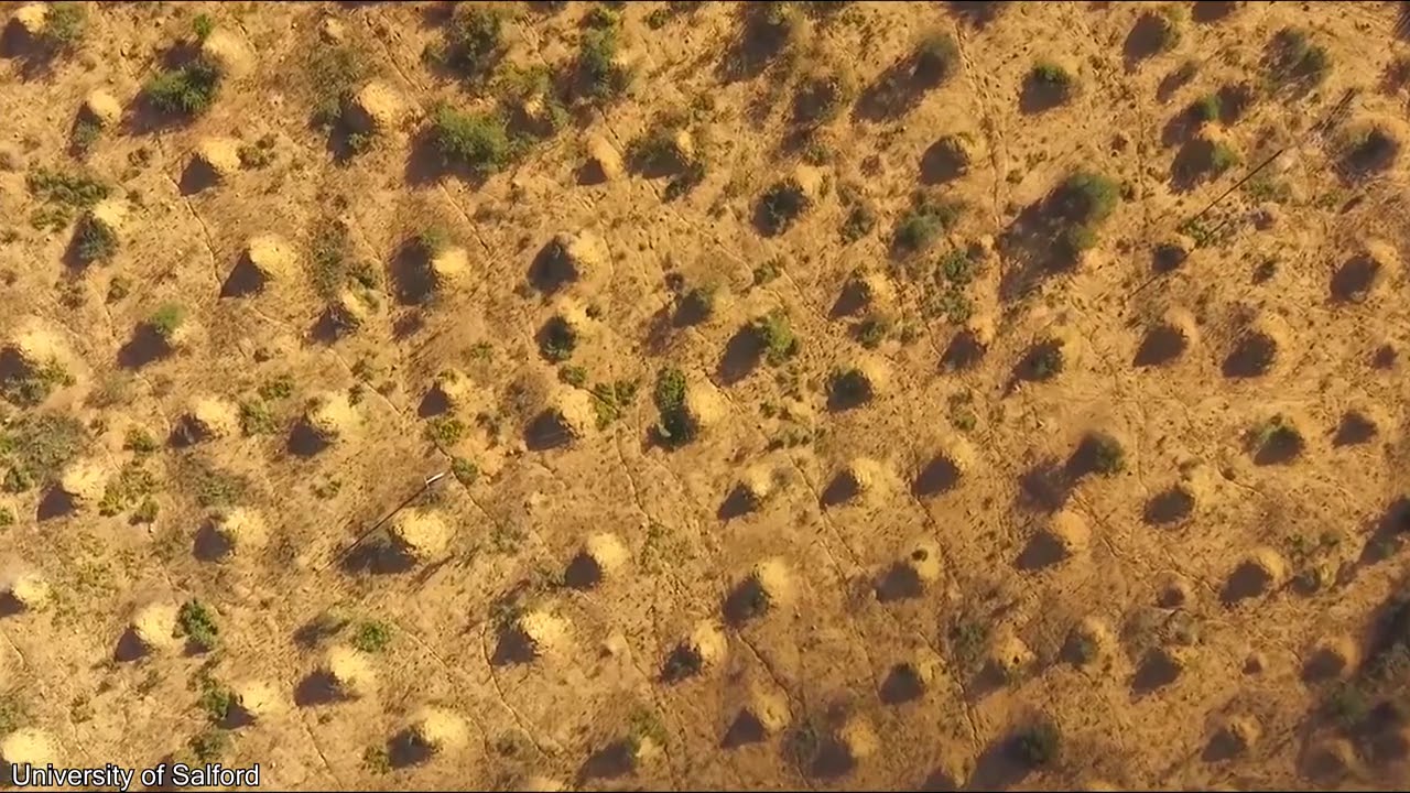biggest termite mound in the world