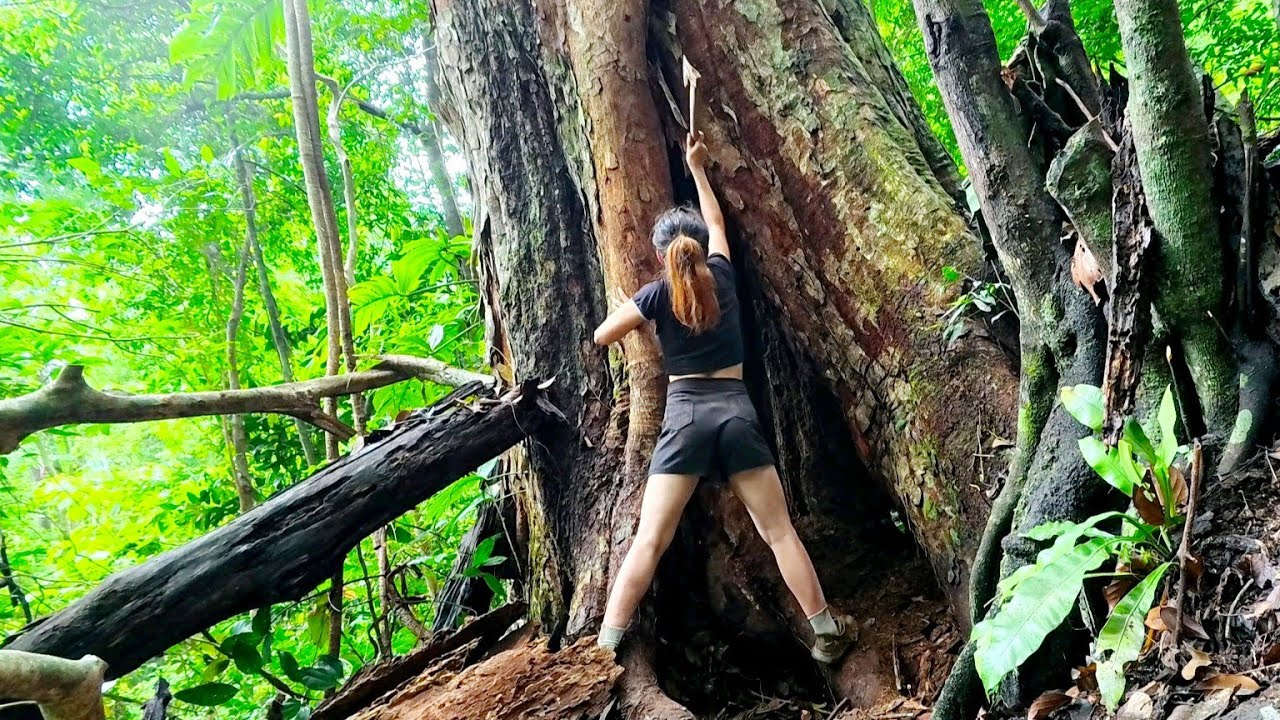 Survival Shelter Beneath a Giant Tree Trunk || Life in the Wild Jungle