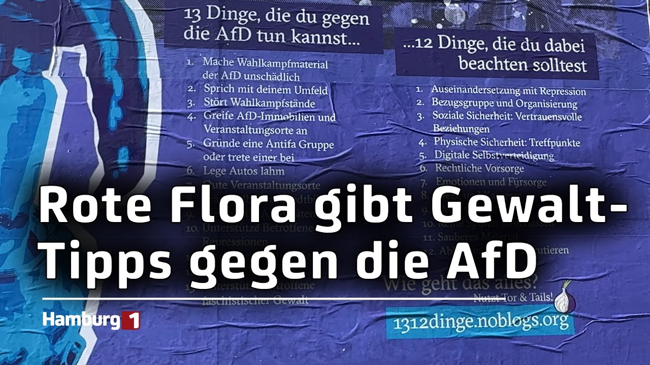Rote Flora gibt Gewalt-Tipps gegen die AfD