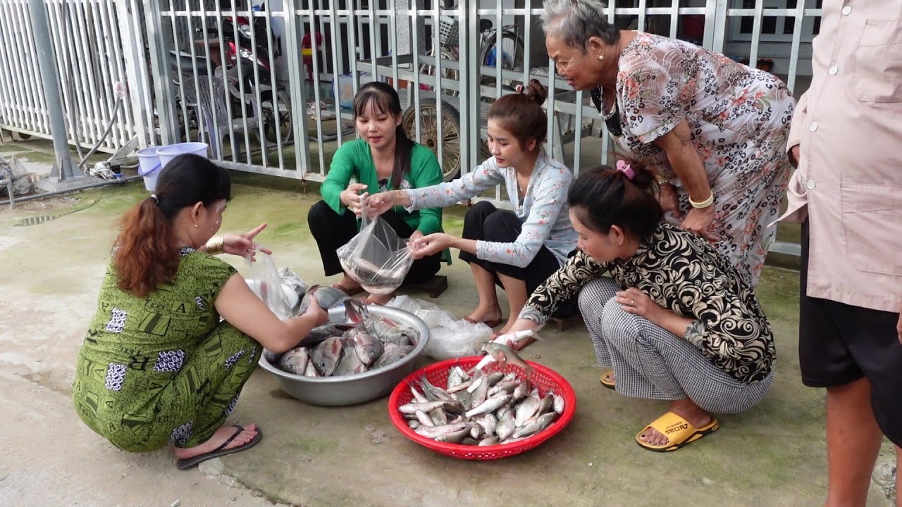 Hai Chị Em Giăng Lưới dính Mấy Chục Kí Cá đem vào Nhóm Chợ Chiều Bán cho bà Con | HQ #916