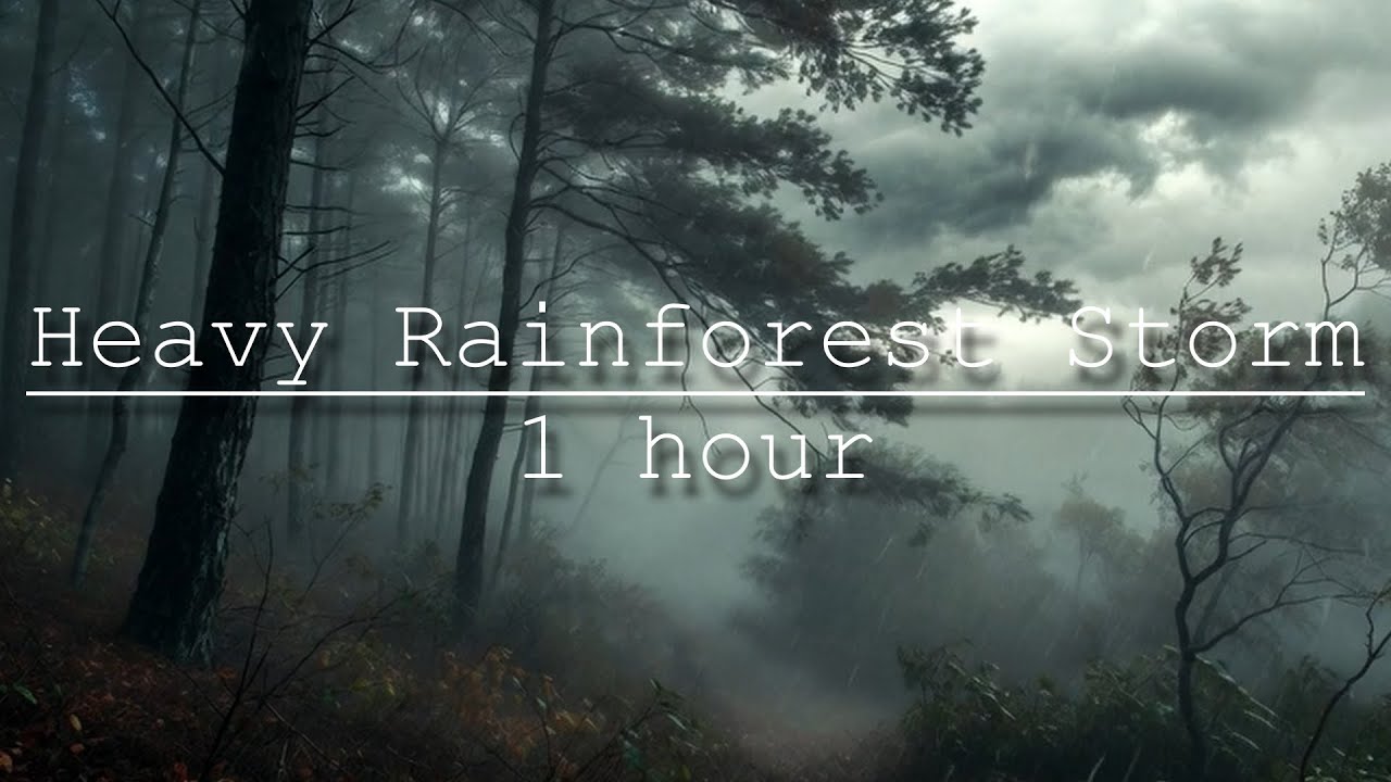 HEAVY RAINFOREST RAIN FOR SLEEP | 1 HOUR
