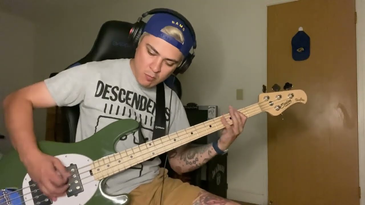 nerve - the story so far | bass cover