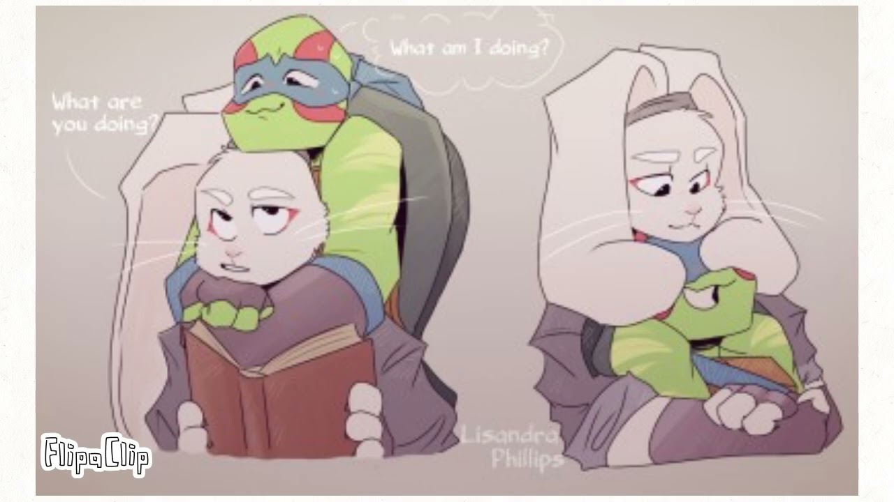 🏳️‍🌈Leo💚Usagi🏳️‍🌈    (TMNT)