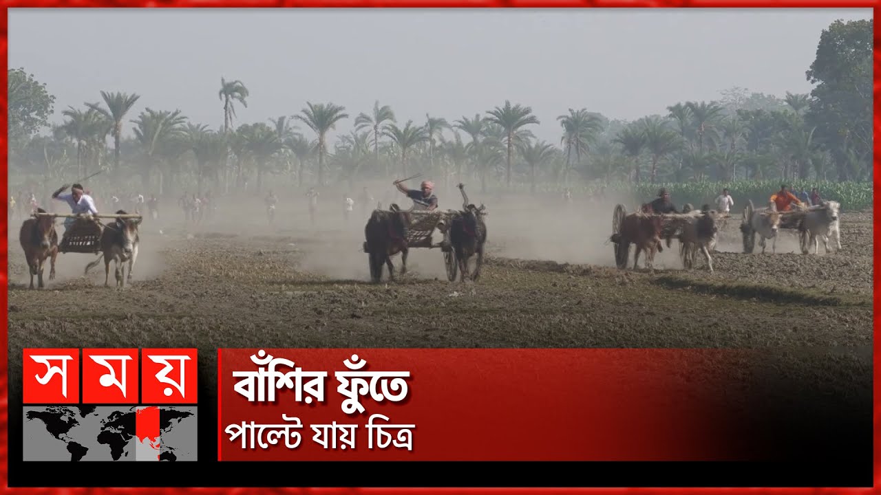 ঐতিহ্যবাহী গরুর গাড়ি দৌড় প্রতিযোগিতা | Bullock Cart Race | Jhenaidah News | Somoy TV