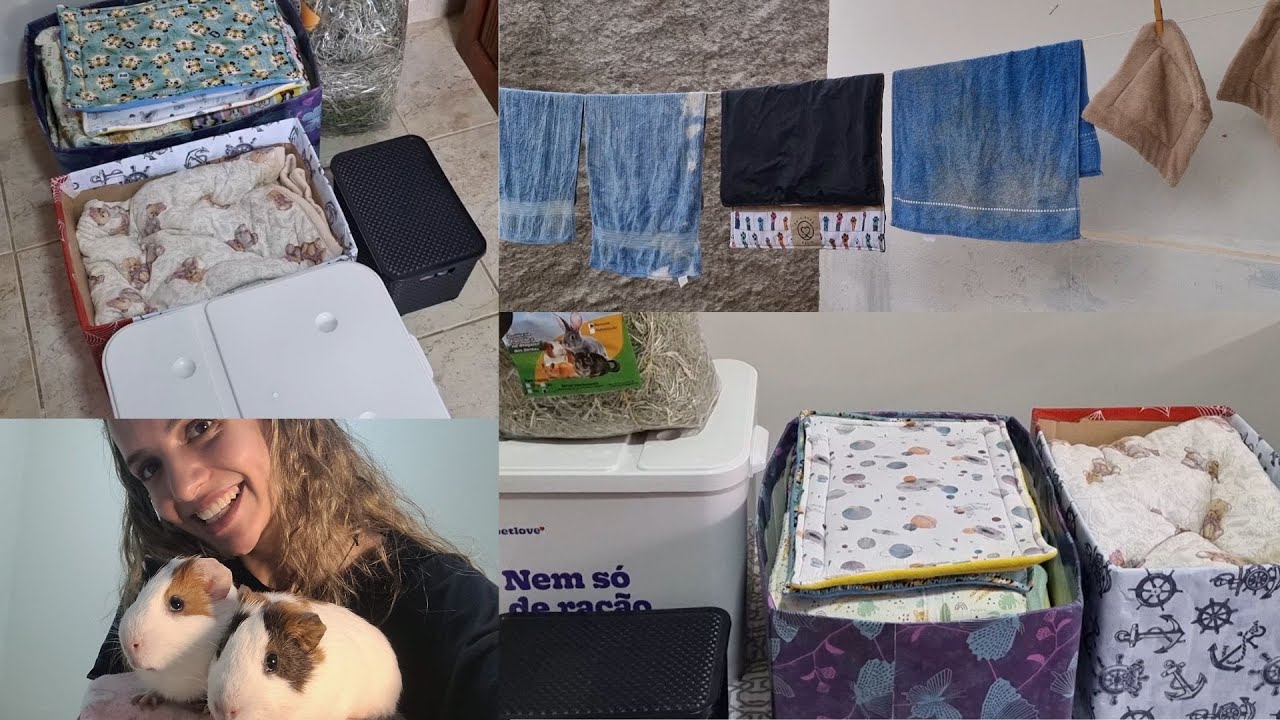 VLOG: TOUR por TUDO que eu tenho dos meus porquinhos da índia! 